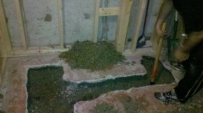 2012-01-23_10-29-41_188