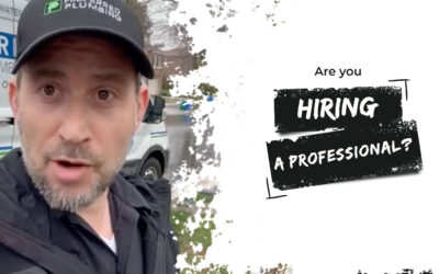 Are you hiring a professional?